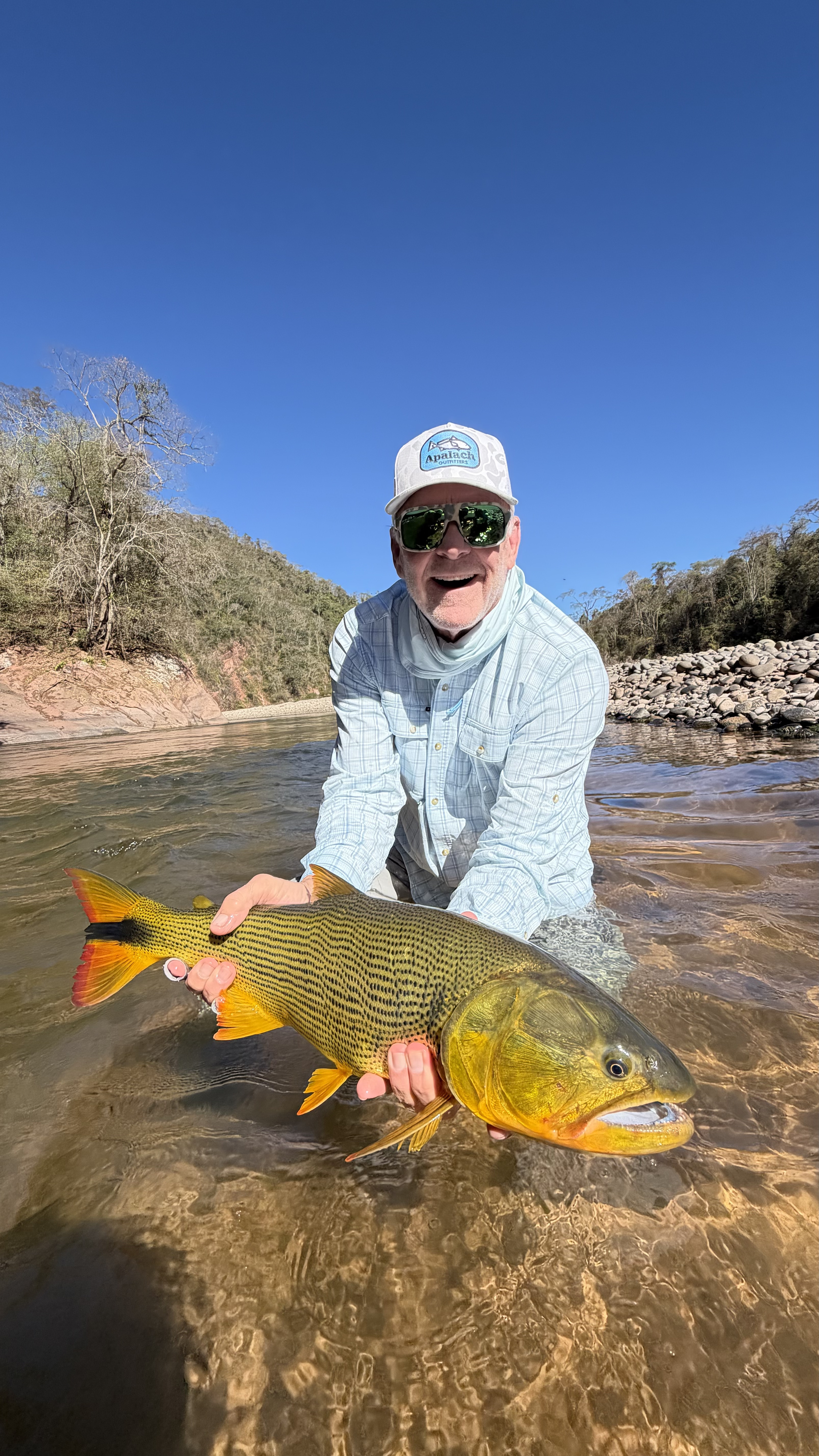 One of the week&rsquo;s dorado