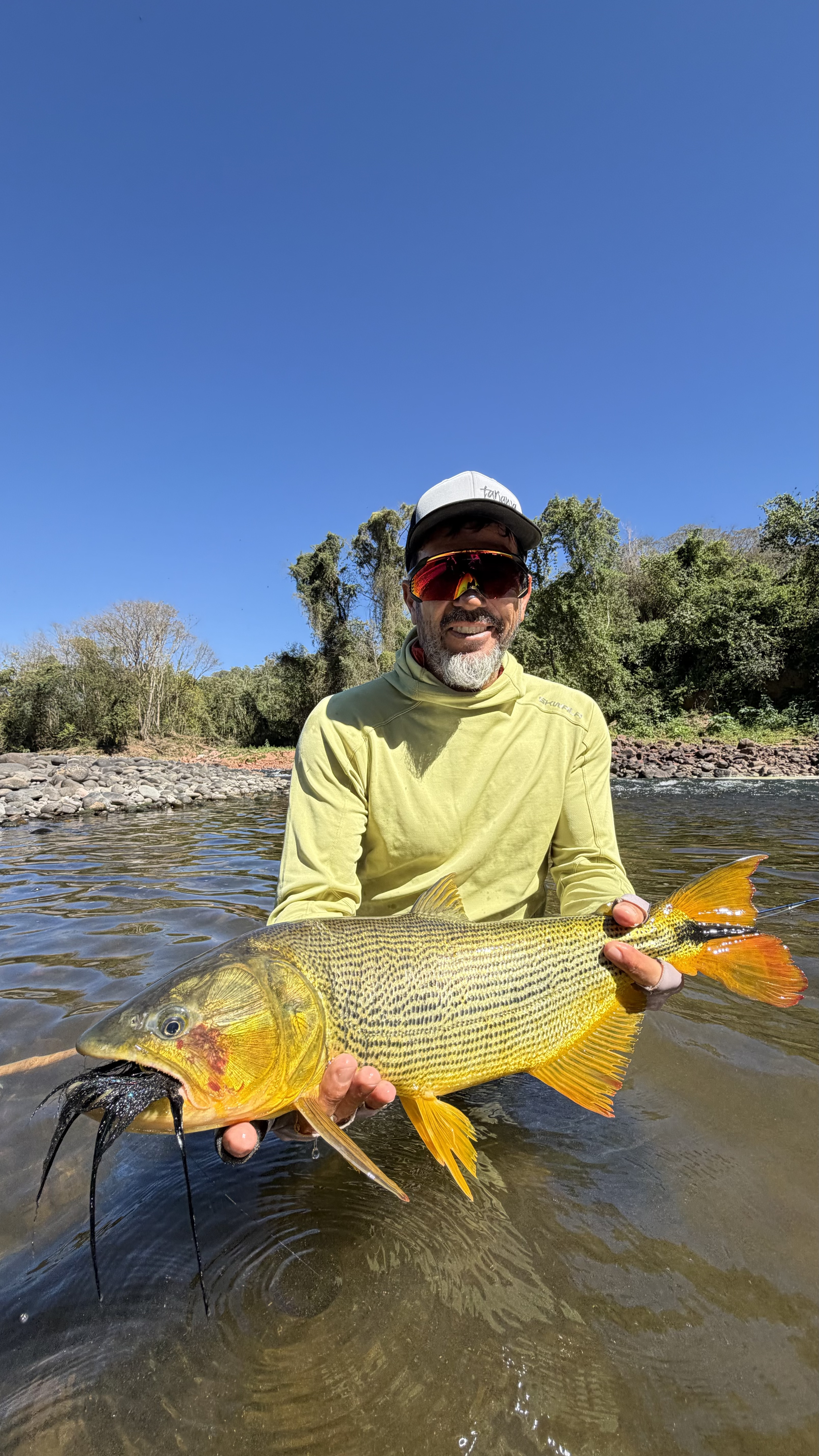 One of the dorado from the fifth day