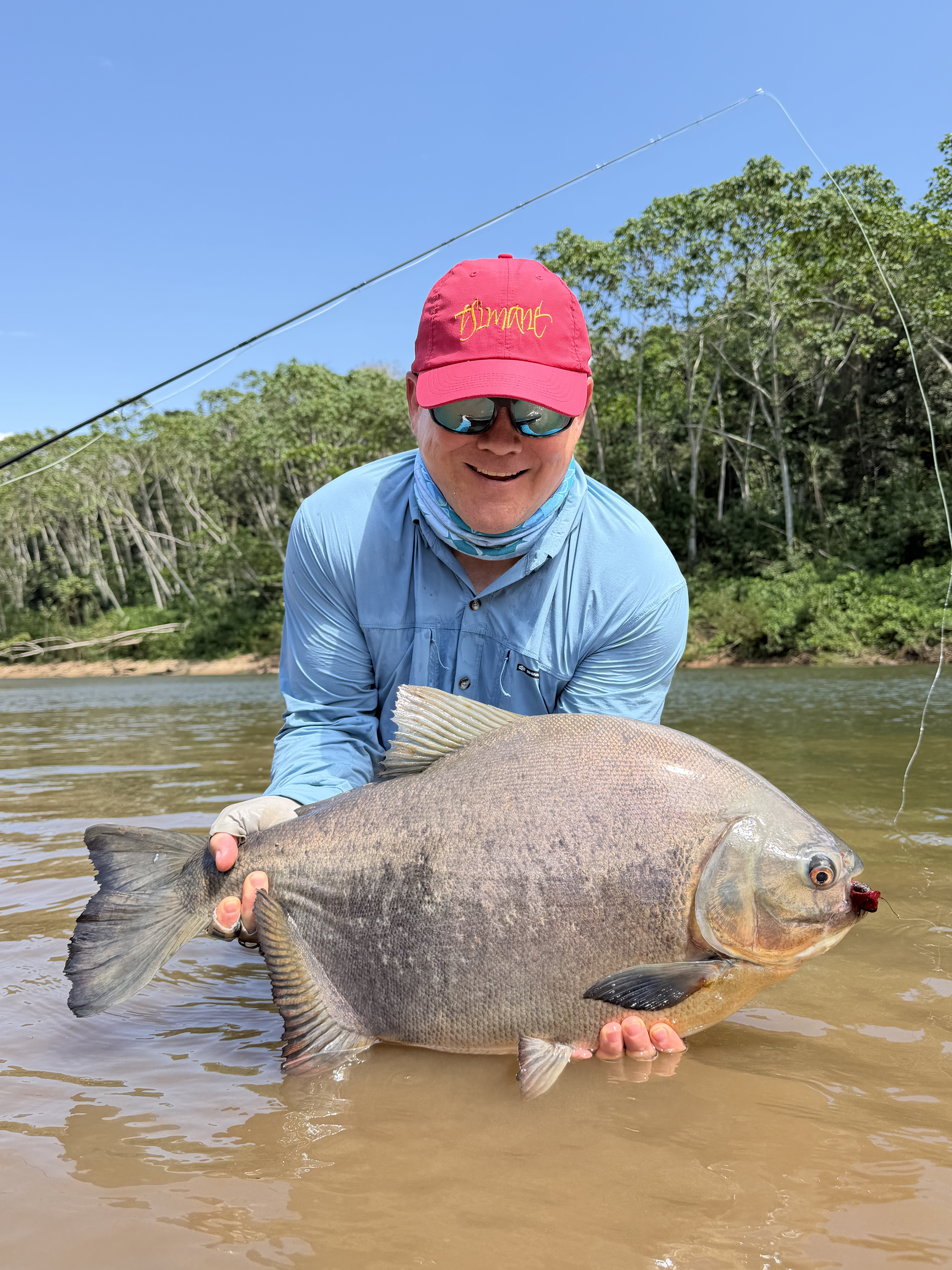 Another of the week&rsquo;s pacú, all between 10 and 16 pounds