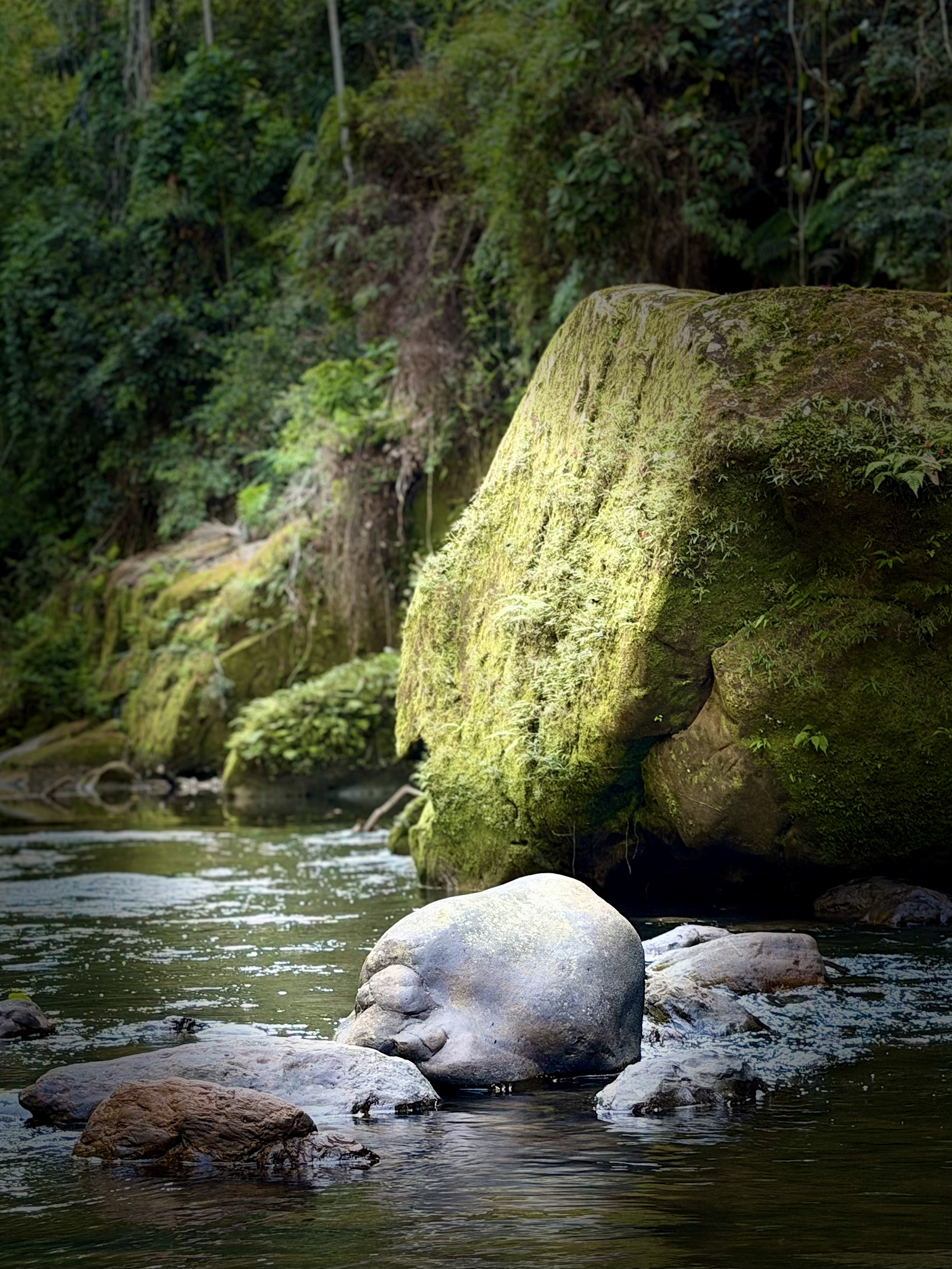 The Maniquicito through Lori&rsquo;s lens, photo 2 of 3