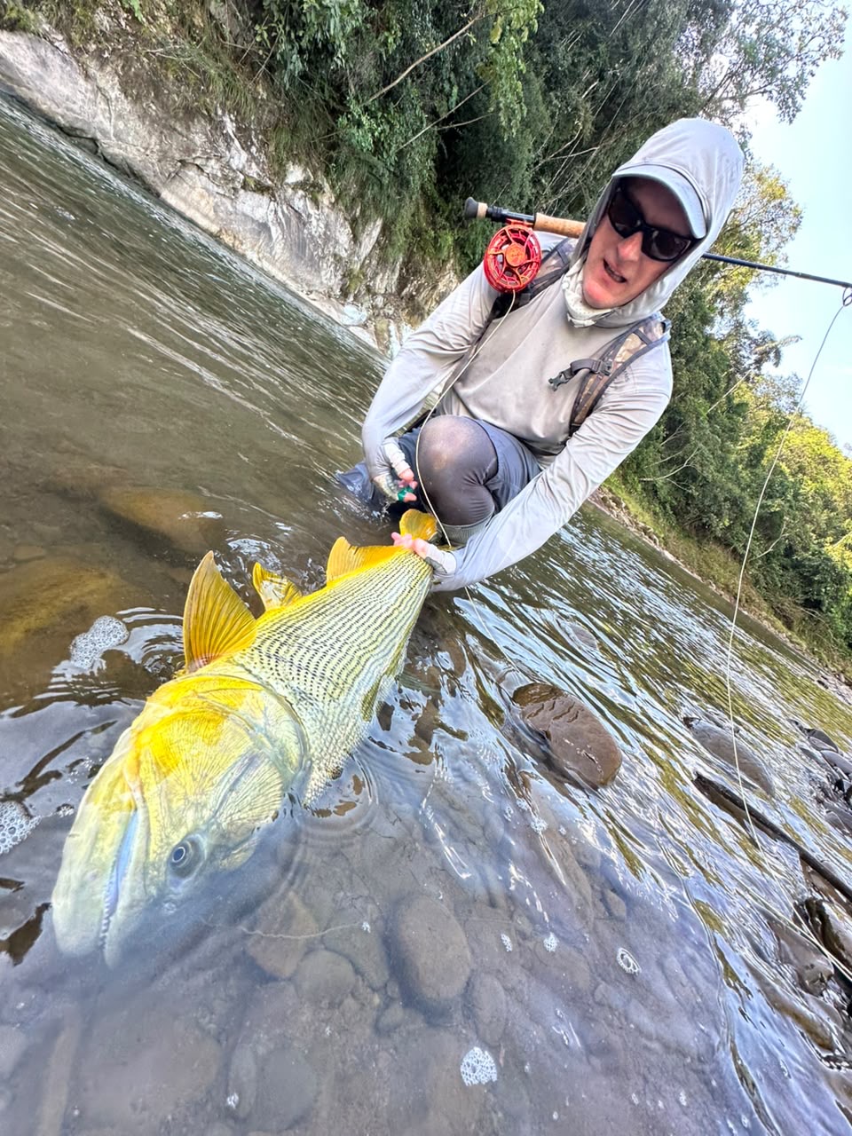 A dorado landed in the current